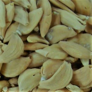 Jinxiang Organic Garlic Won Kolejna nagroda