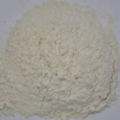 Mielony czosnek w proszku