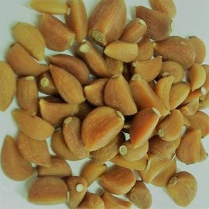 Organiczne ząbki czosnku